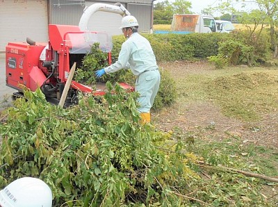 剪定枝をその場で木材チップにして再生