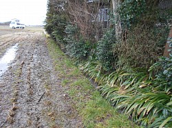 民間　水路改修工事　着手前