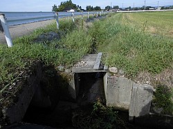 若林４号排水路第2工区工事　着手前