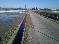 R8 新屋敷七社線 防護柵設置工事 着手前