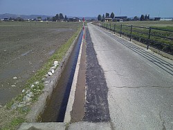 R8 新屋敷七社線 防護柵設置工事 完成