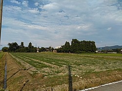 五鹿屋鹿島 水路整備第12工区工事　　　ほ場整備　着手前