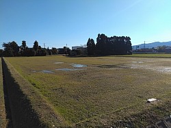 五鹿屋鹿島 水路整備第12工区工事　　　ほ場整備　完成