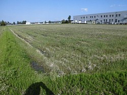 五鹿屋鹿島 水路整備第12工区工事　　　ストーンクラッシャー　着手前